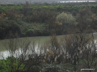 lle del Simeto-24-02-2013 10-09-50